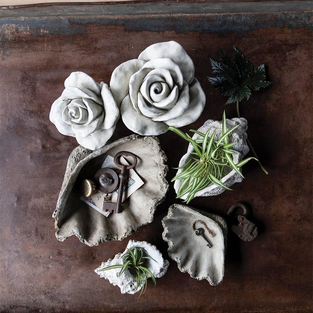 Clamshell Cast Cast Concrete Clam Shell – Cocobo